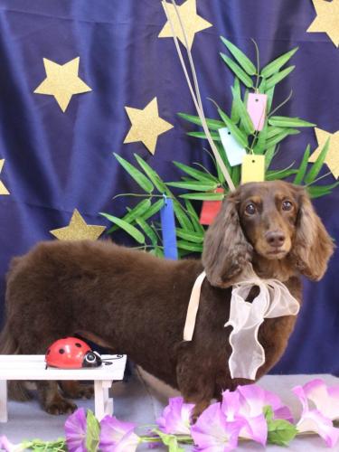 20230725ジョナくん